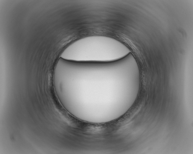 X0000113070071200908281019