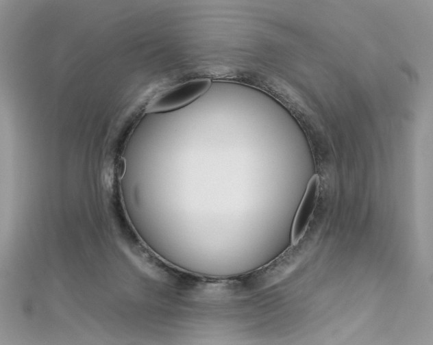 X0000113070072200908281019