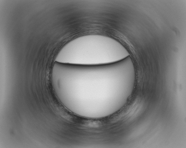 X0000113070073200908281019