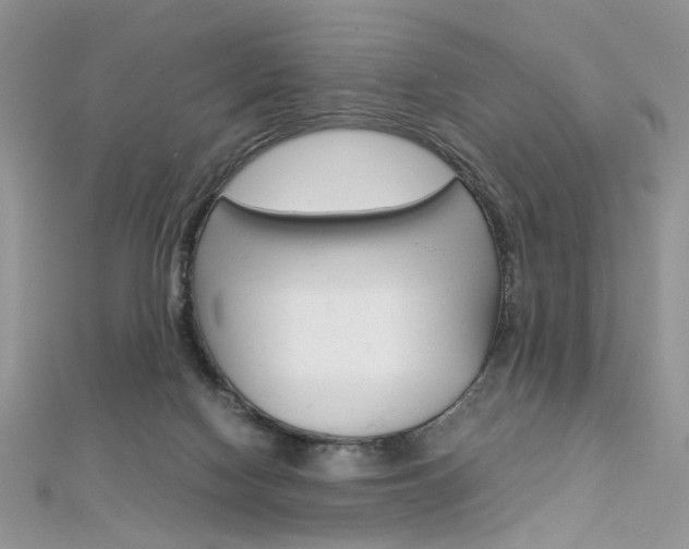 X0000113070074200908281019