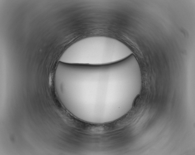 X0000113070075200908281019