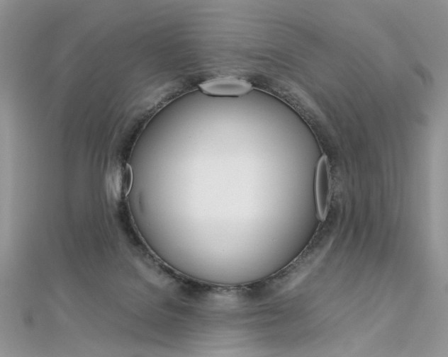 X0000113070076200908281019