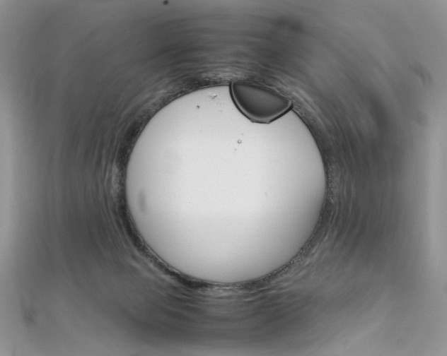 X0000113070077200908281019