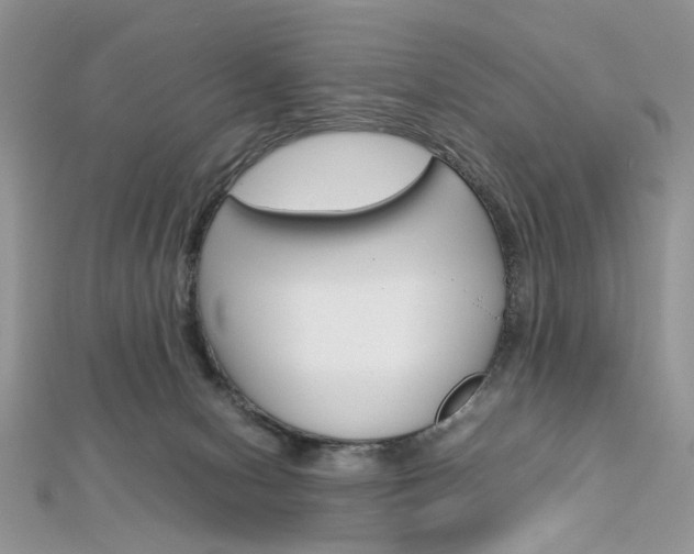 X0000113070078200908281019
