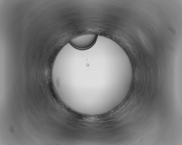 X0000113070079200908281019