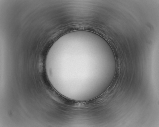 X0000113070080200908281019