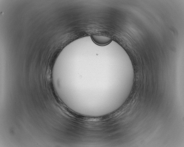 X0000113070081200908281019