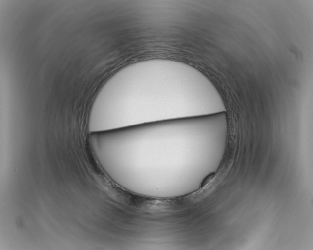 X0000113070082200908281019