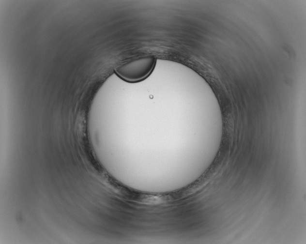 X0000113070083200908281019