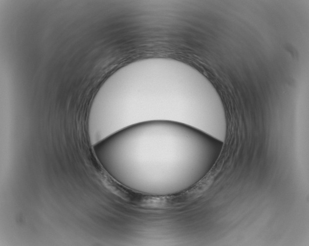 X0000113070084200908281019