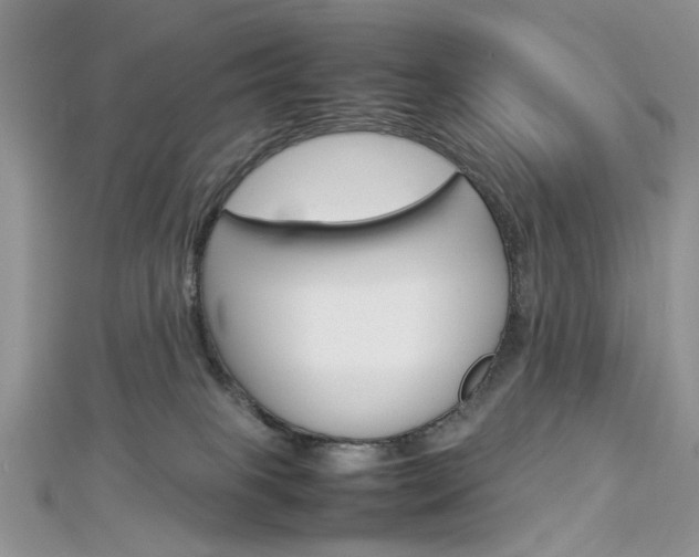 X0000113070085200908281019