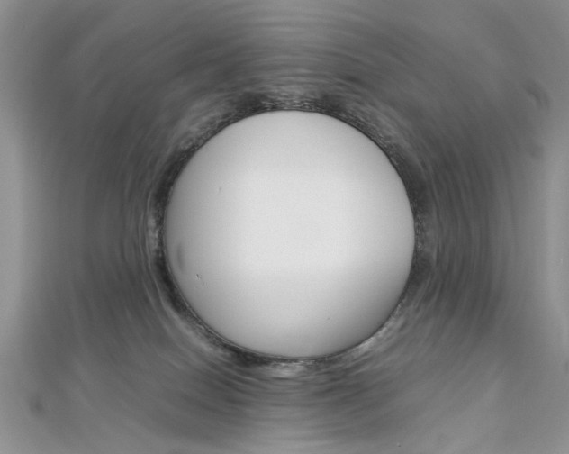 X0000113070086200908281019