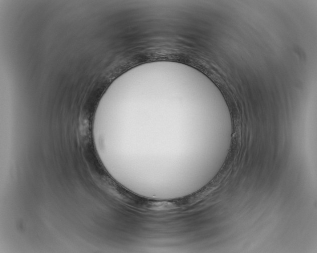 X0000113070087200908281019