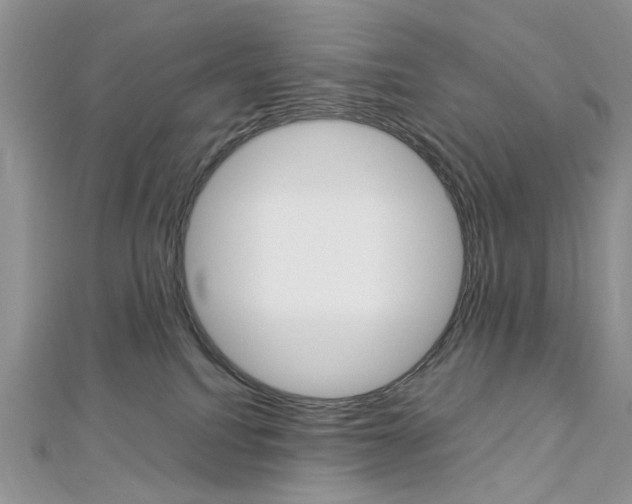 X0000113070088200908281019