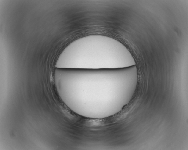 X0000113070089200908281019