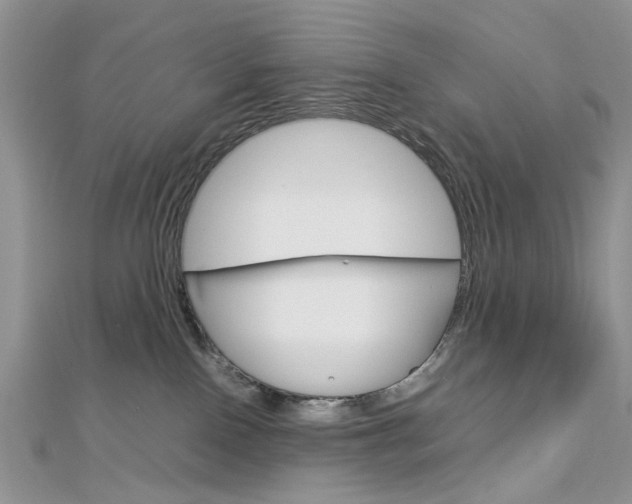 X0000113070090200908281019