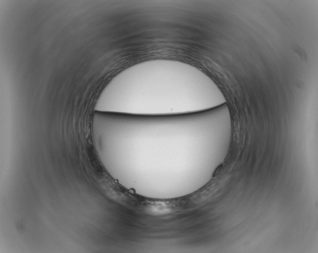 X0000113070091200908281019