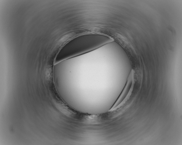 X0000113070092200908281019