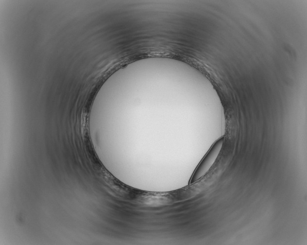 X0000113070093200908281019
