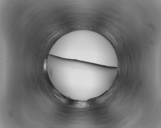 X0000113070095200908281019
