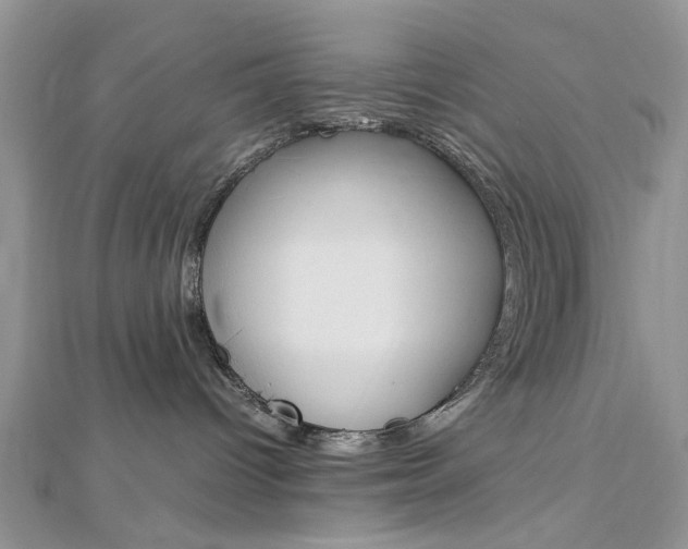 X0000113070096200908281019