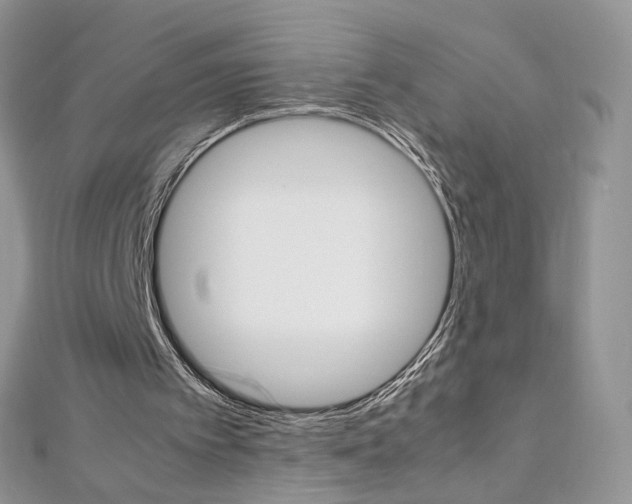 X0000113070097200908281019