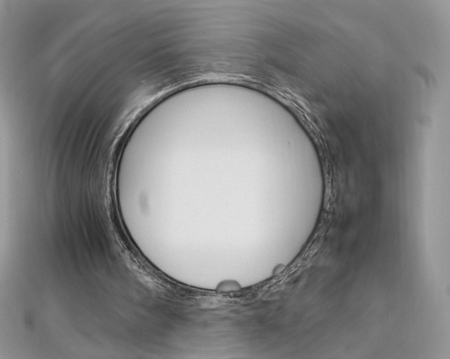 X0000113070098200908281019