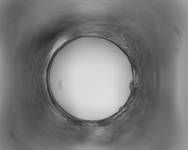 X0000113070099200908281019