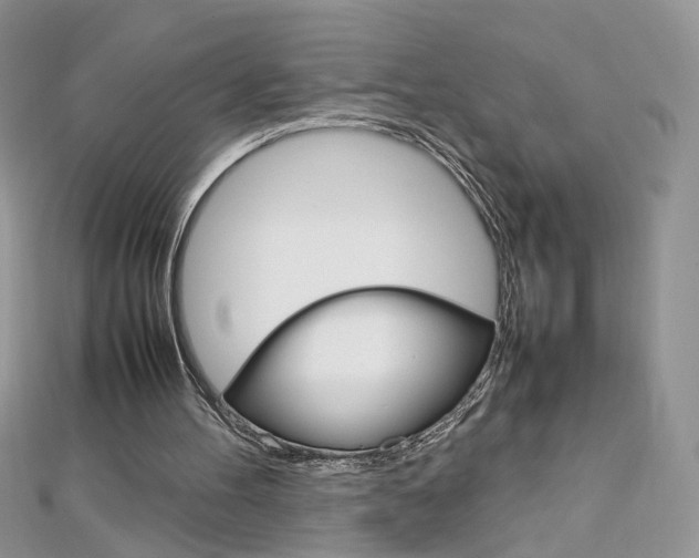 X0000113070100200908281019