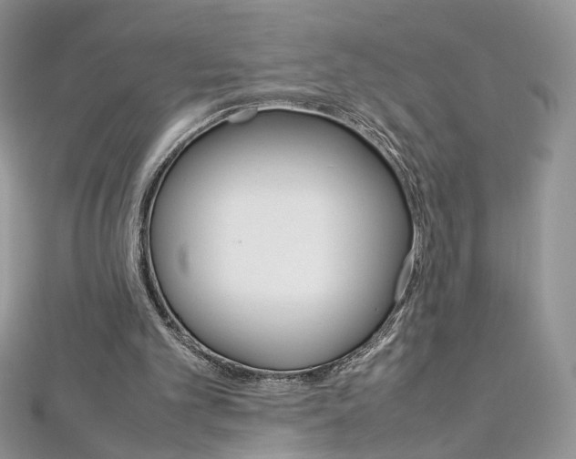 X0000113070101200908281019
