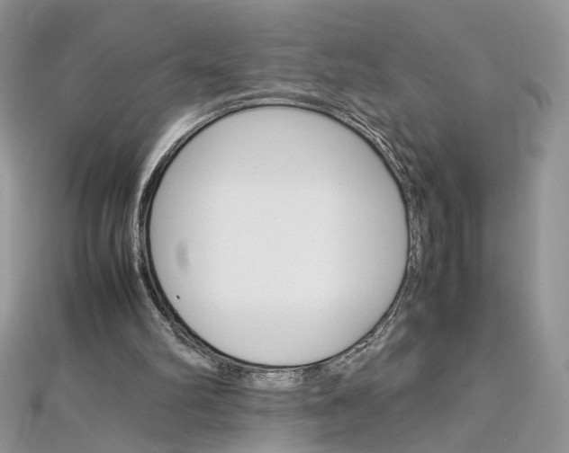 X0000113070102200908281019