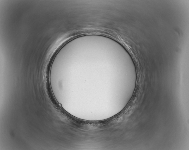 X0000113070103200908281019