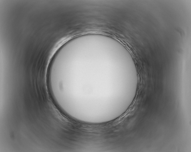 X0000113070104200908281019