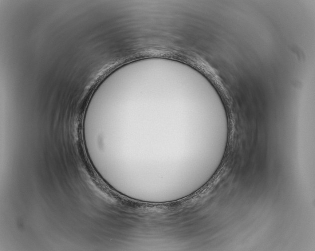 X0000113070106200908281019