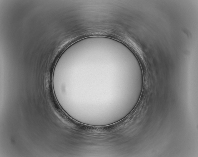 X0000113070107200908281019