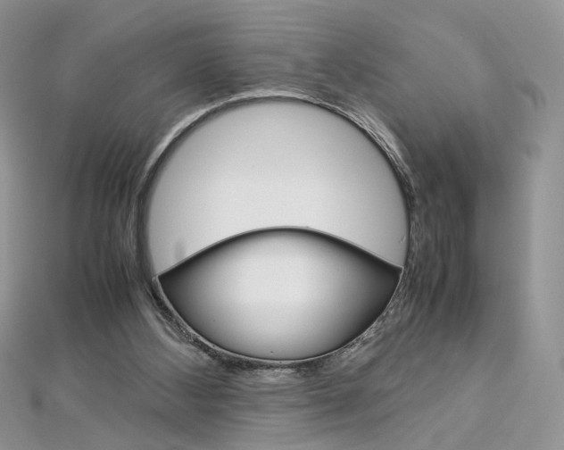 X0000113070108200908281019