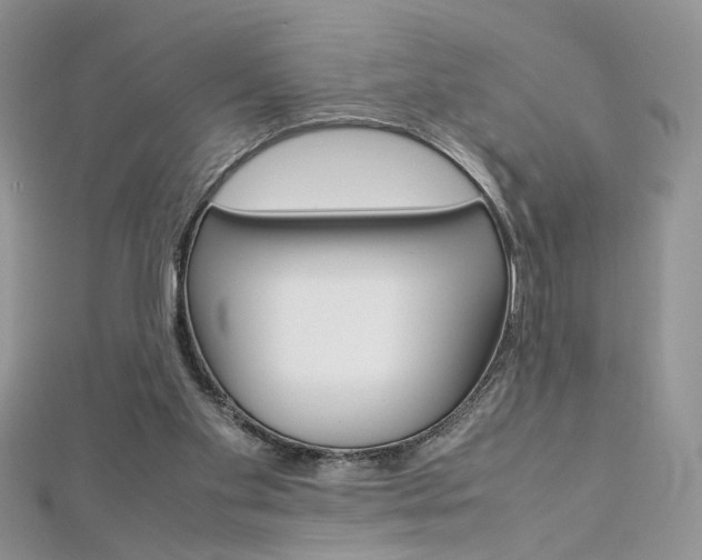 X0000113070109200908281019