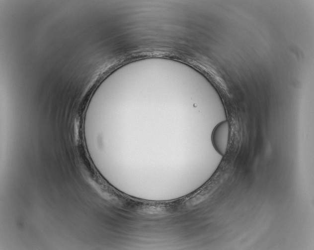 X0000113070110200908281019