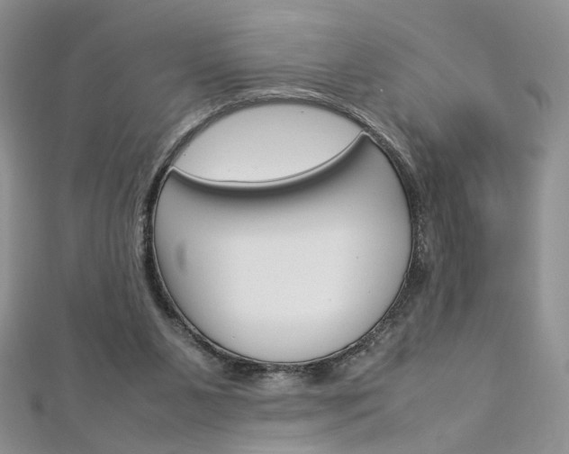 X0000113070111200908281019