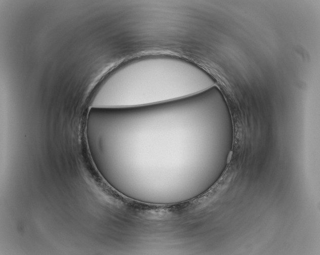 X0000113070112200908281019