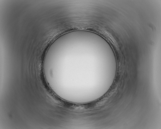 X0000113070113200908281019