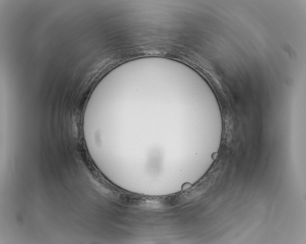 X0000113070114200908281019