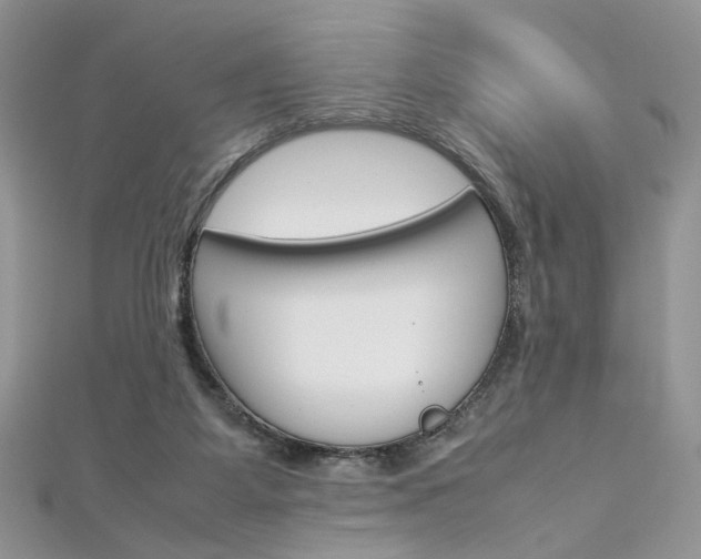 X0000113070115200908281019