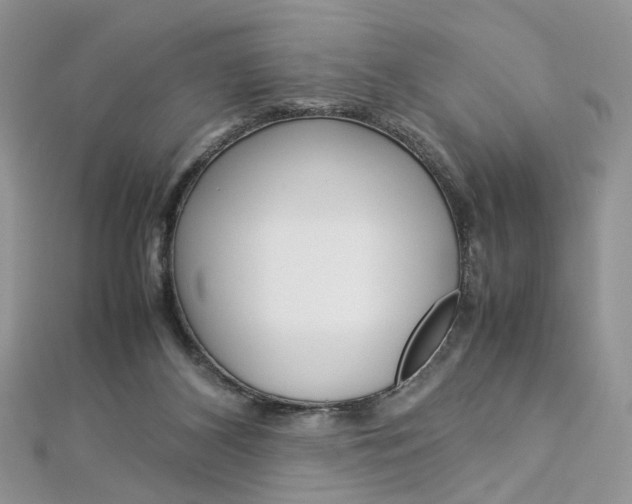X0000113070116200908281019