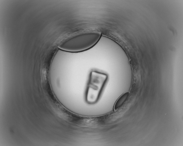 X0000113070117200908281019