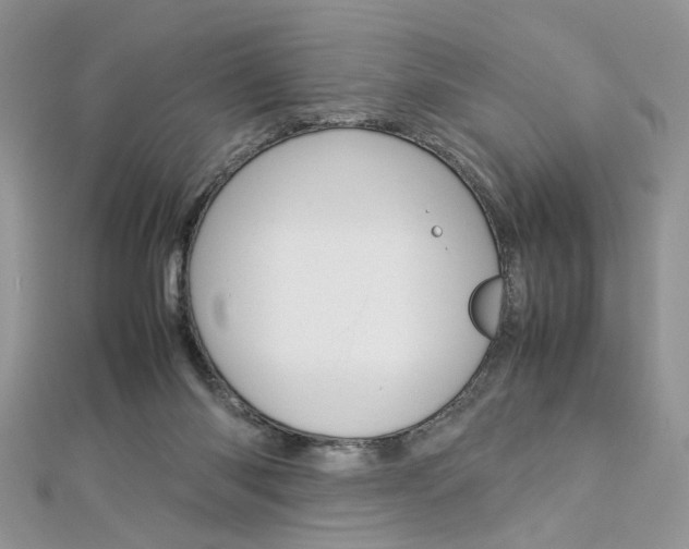 X0000113070118200908281019
