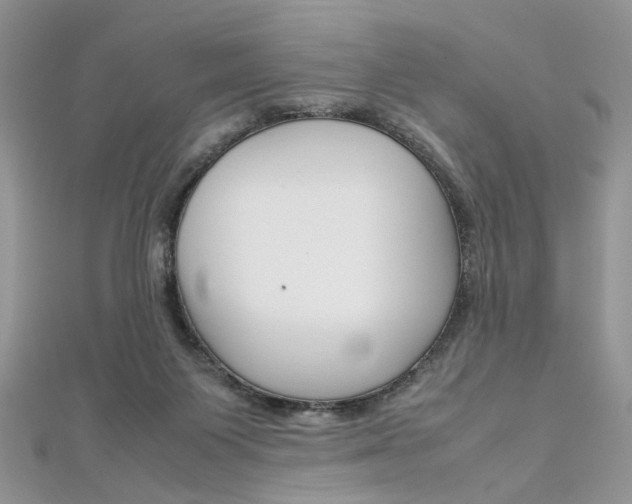 X0000113070119200908281019