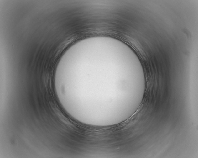 X0000113070120200908281019