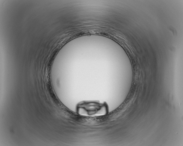 X0000113070121200908281019