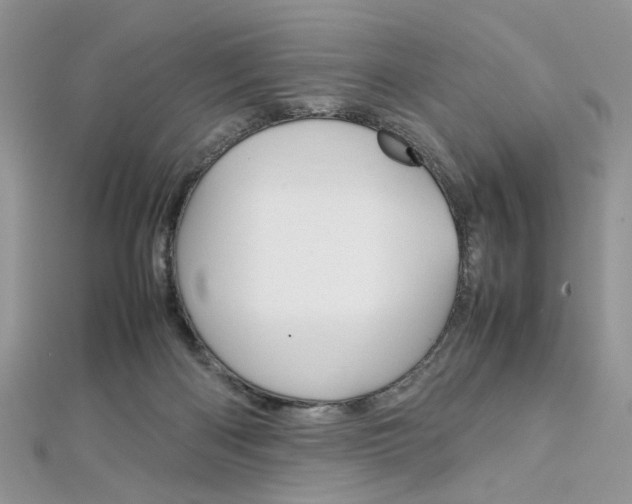 X0000113070122200908281019